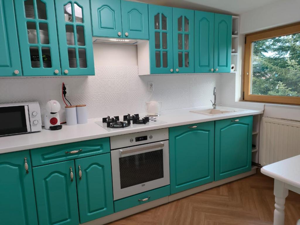 Apartament Centrum 2 Ustroń — turkusowa kuchnia z piekarnikiem i płytą gazową